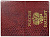 Обложка для паспорта ИМИДЖ Аллигатор Стандарт, пвх, золото, черный (с гербом). 1,42ГЗ-211
